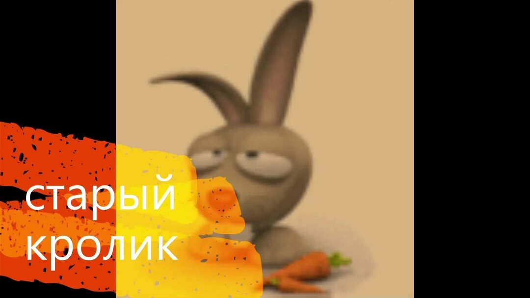 кролик с морковью. кролики едят тыкву. кролик ест морковку. можно ли кроликам морковку. можно ли кроликам морковку.