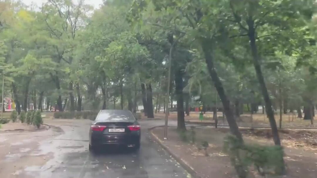 тигренок тайгана схватил за волосы девушку. ягуарчик и львичка тайган. львичка асада сегодня тайган последние. тайган ребенку откусили палец. львичка асада сегодня тайган последние.