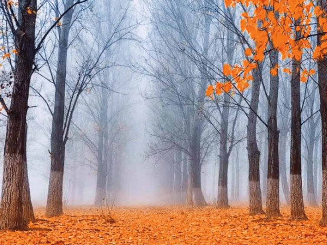 Стих деревня пушкин текст. Строфа стихотворения деревня пушкин. Анализ стихотворения пушкина деревня. Строфа стихотворения деревня пушкин. Деревня стих пушкина анализ.