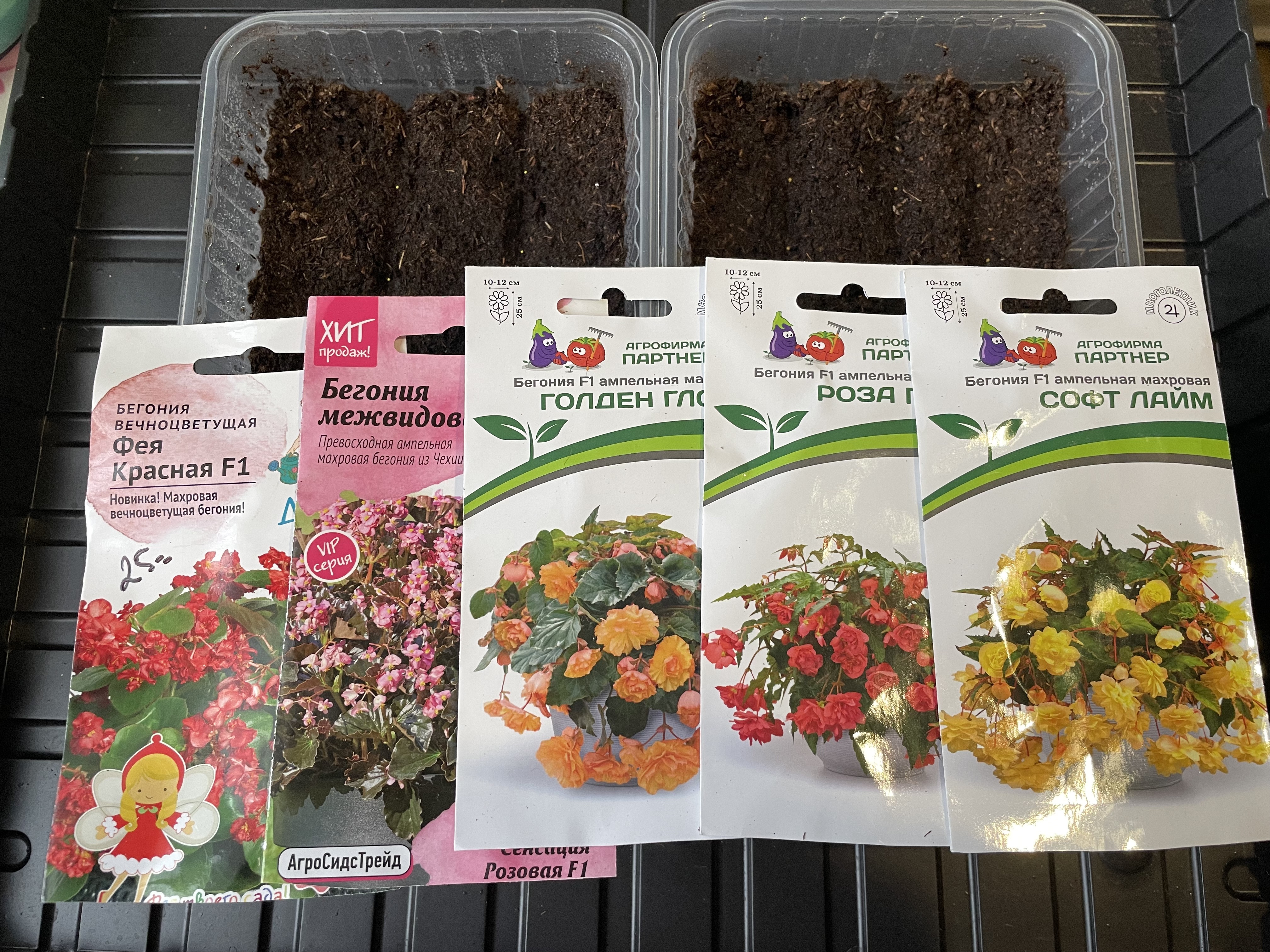 Зато или за то как правильно писать. Правописание гласныз викорне. Слитное написание не с причастиями примеры. Отрицательные частицы не и ни слитное и раздельное написание. Посеевший как пишется.