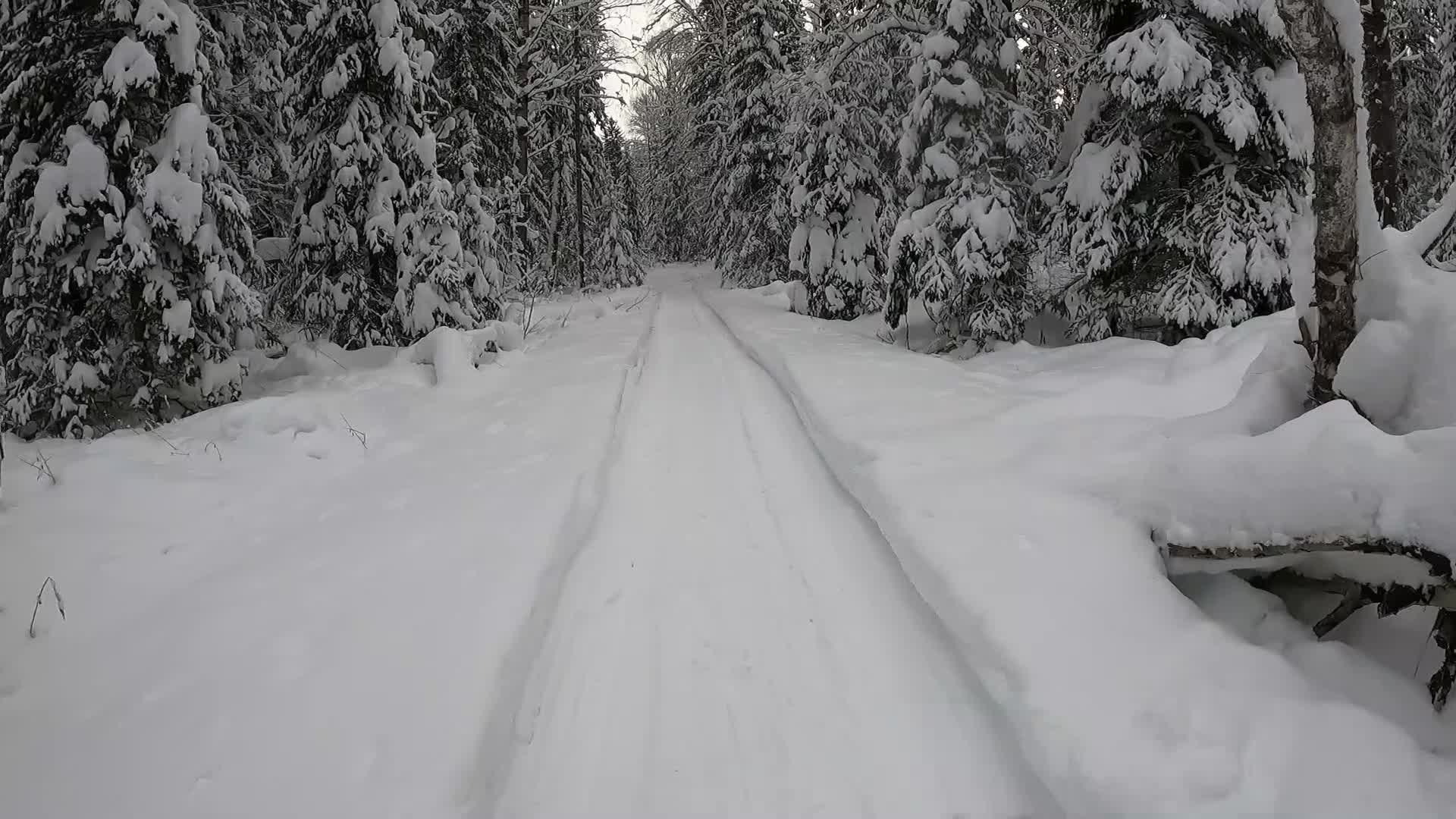 Пройденное расстояние в километрах за день