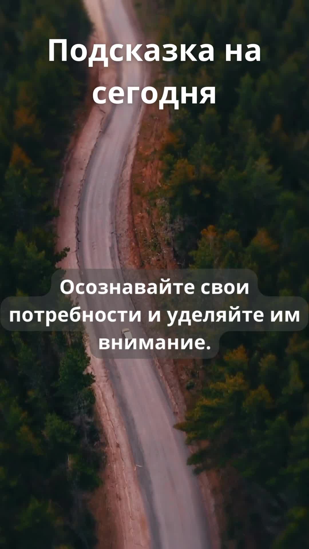 Отношение к природе цитаты