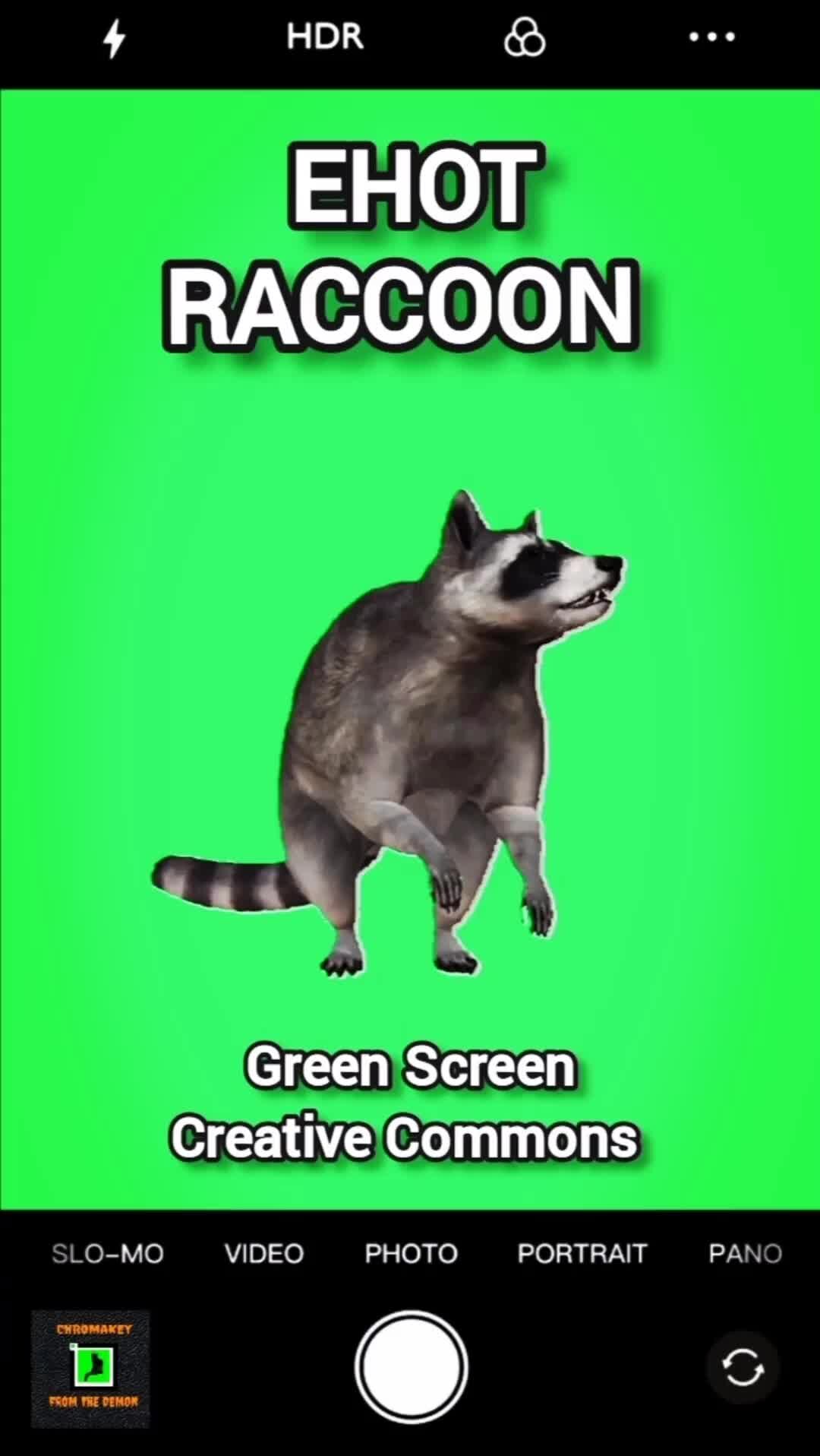 Мемы на зелёном фоне видео