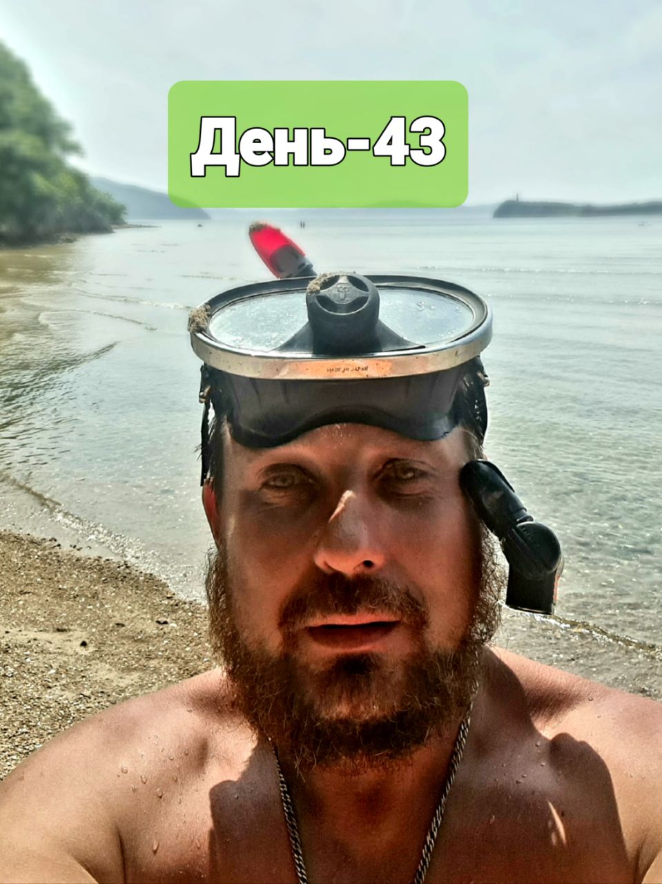 Scp foundation logo. Scp лови ежа. Scp 745. Scp лови ежа. Scp лови ежа.