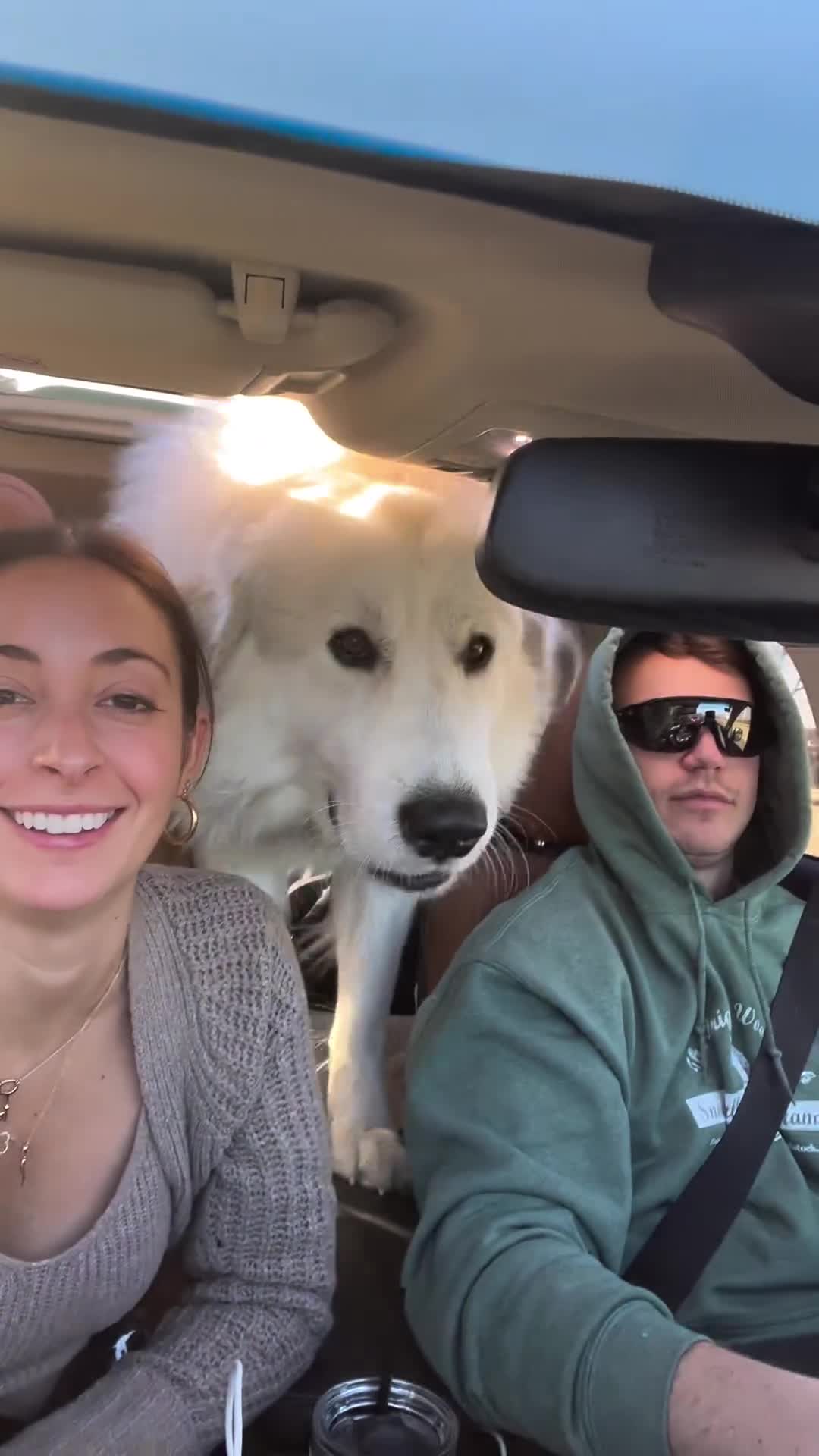 Смеющийся пес. Сиба ину смеется. Сиба ину хот дог. Сиба ину рыжий. Мем собака хаски хаски.