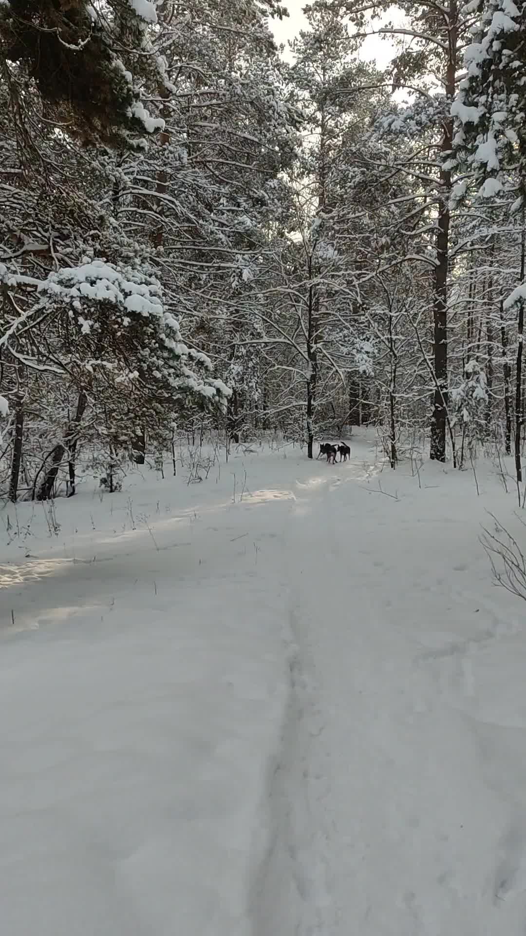 Еще повеселее