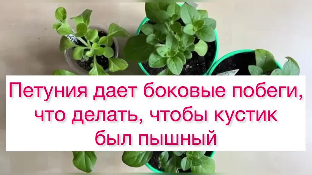 Kdrr сбежим. давай сбежим. 5utra давай сбежим. гузель хасанова. давай сбежим стихотворение.
