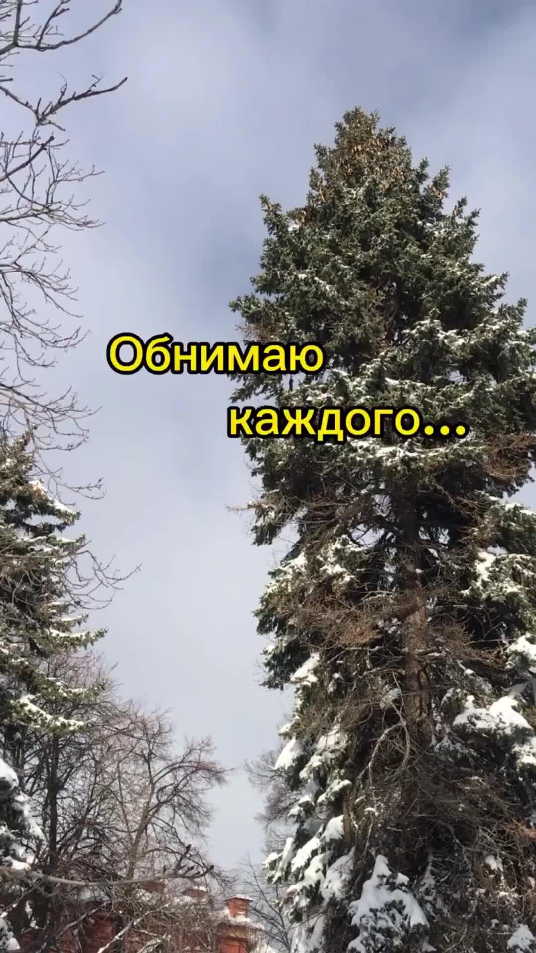 Подойду обниму песня. Обними нежно за плечи подари мне этот вечер. Подойду обниму песня. Обнимаю тебя нежно. Kerwprod обними нежно за плечи.