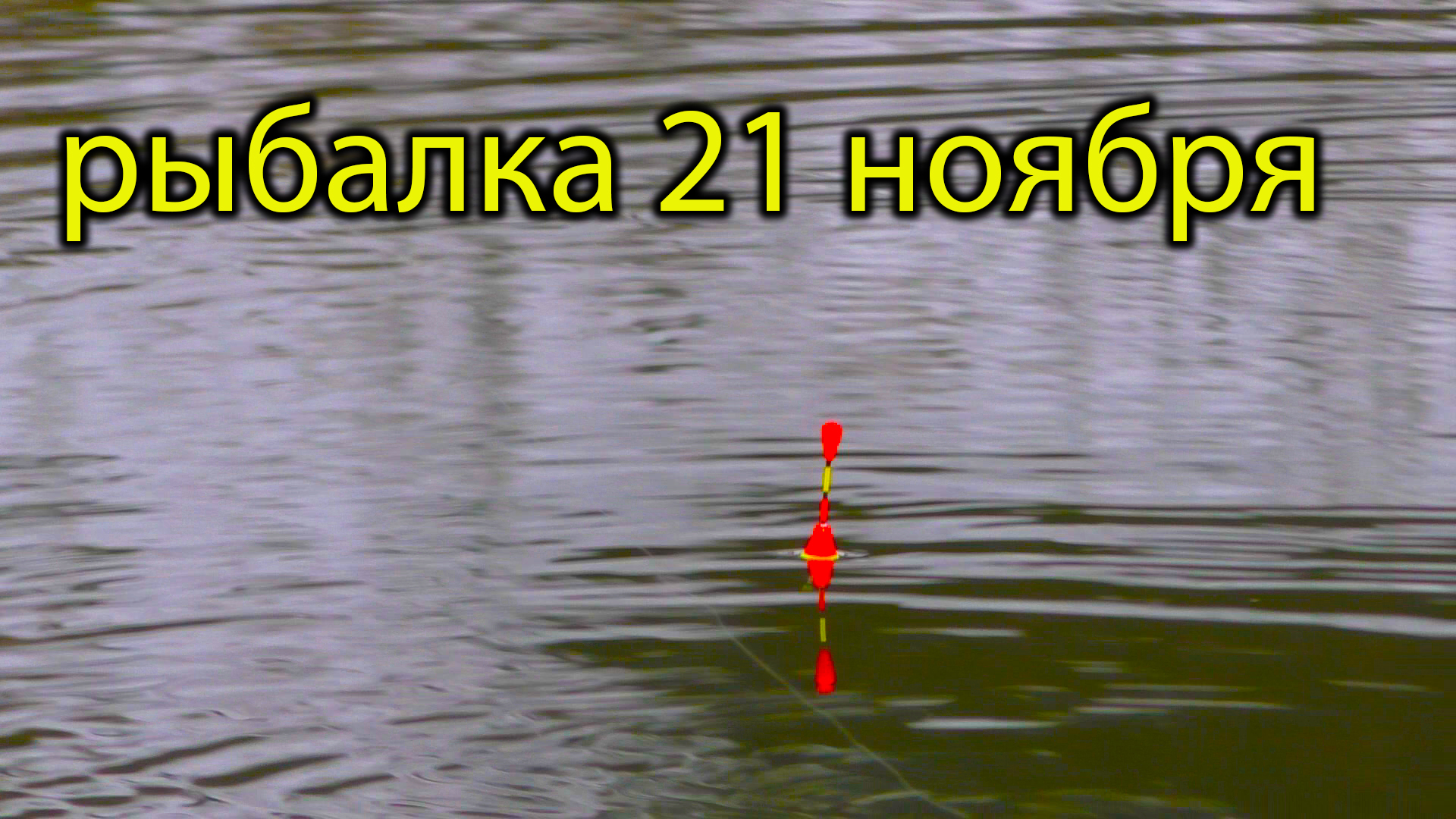лови 21. лови 21. настольная игра рыбалка правила игры. самый большой сом на кубани. рыбалка на явони.