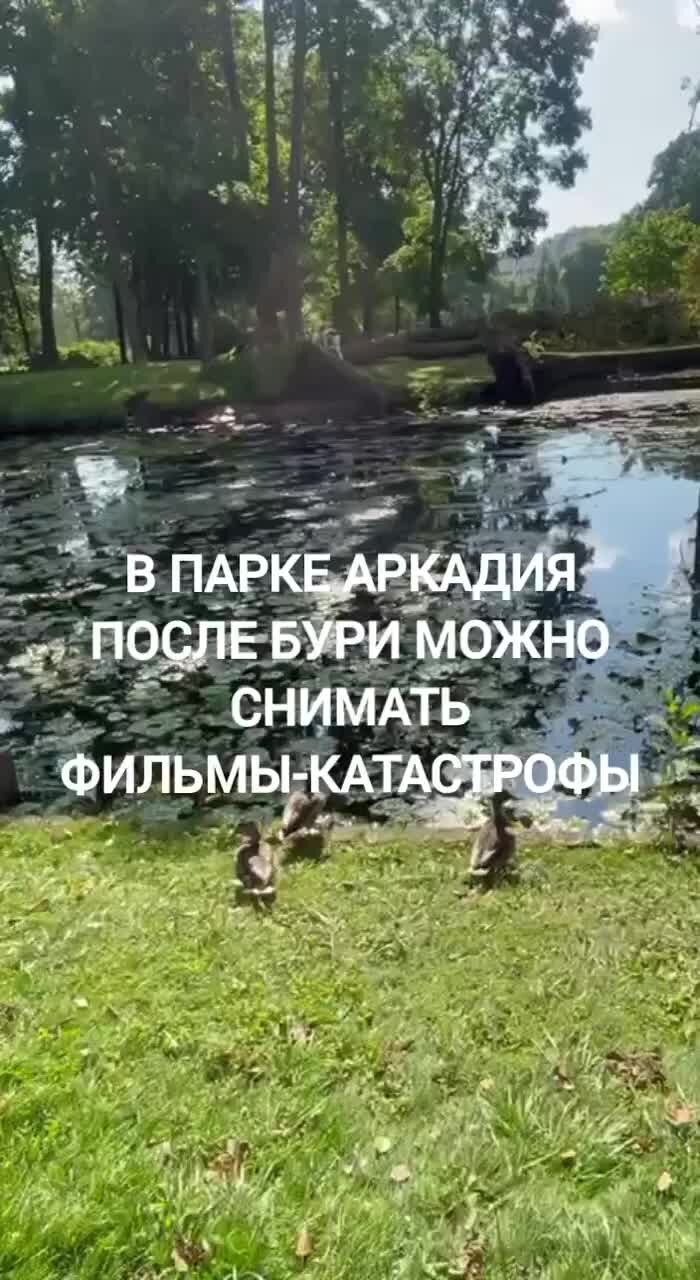 Парк Альпак в Белом колодце