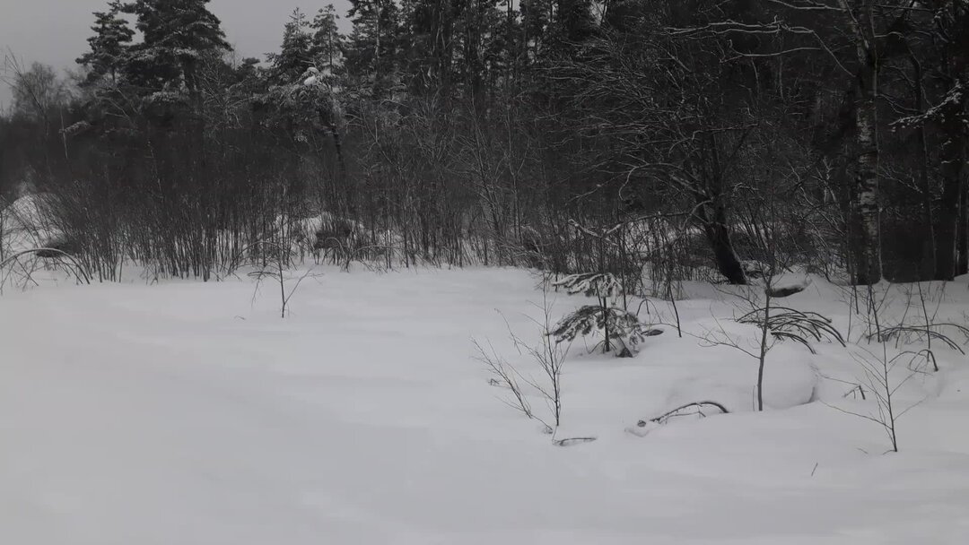 Куда уезжают из питера. Маршрут по достопримечательностям северо запада. Куда сходить в санкт-петербурге. Куда уезжают из питера. Куда переехать.