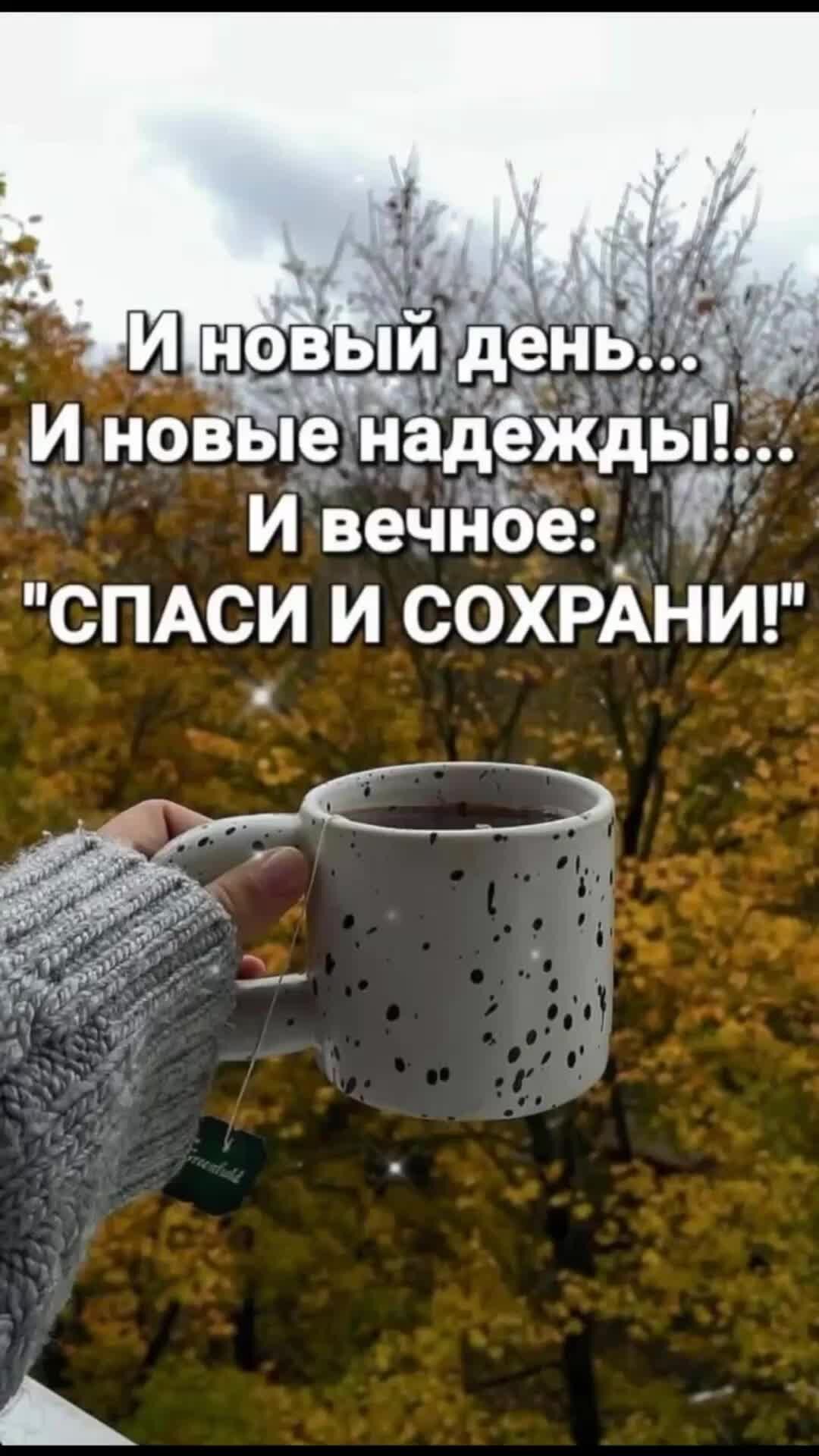 С виду безопасные, ядовитые внутри (и наоборот): непростой тест по грибам