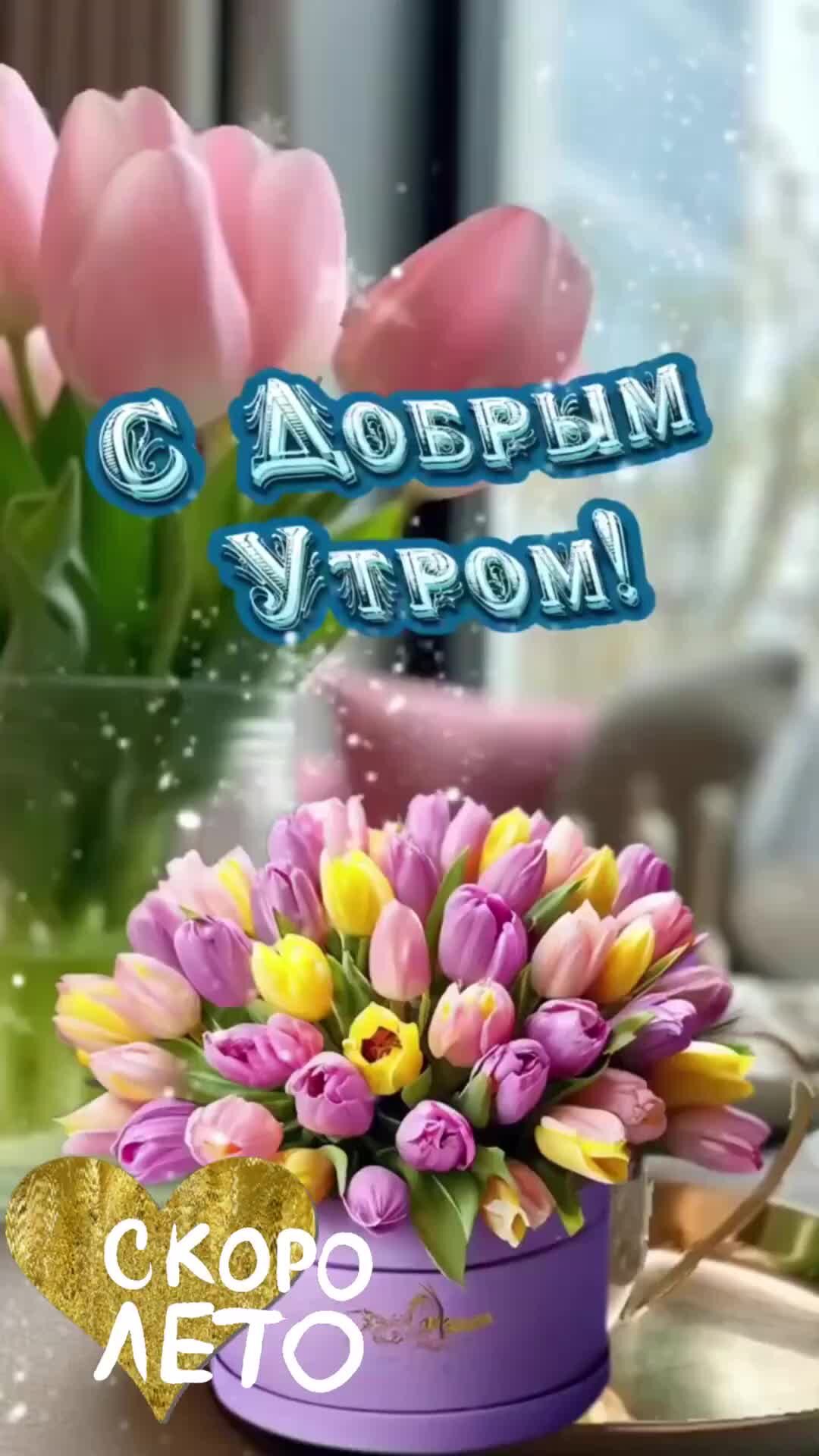 Доброе утро видеоролик