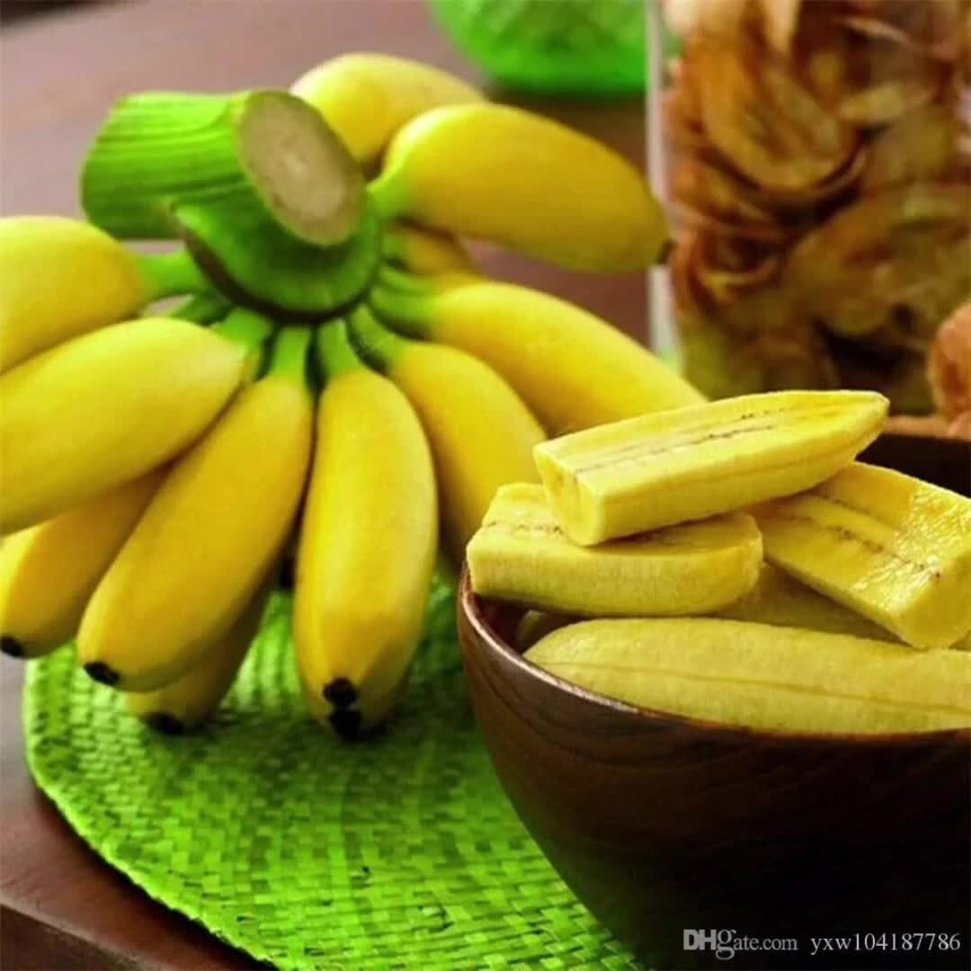 Banana buy. Бананы мини. Семена комнатного банана. Мини банановое дерево. Карликовый банан.