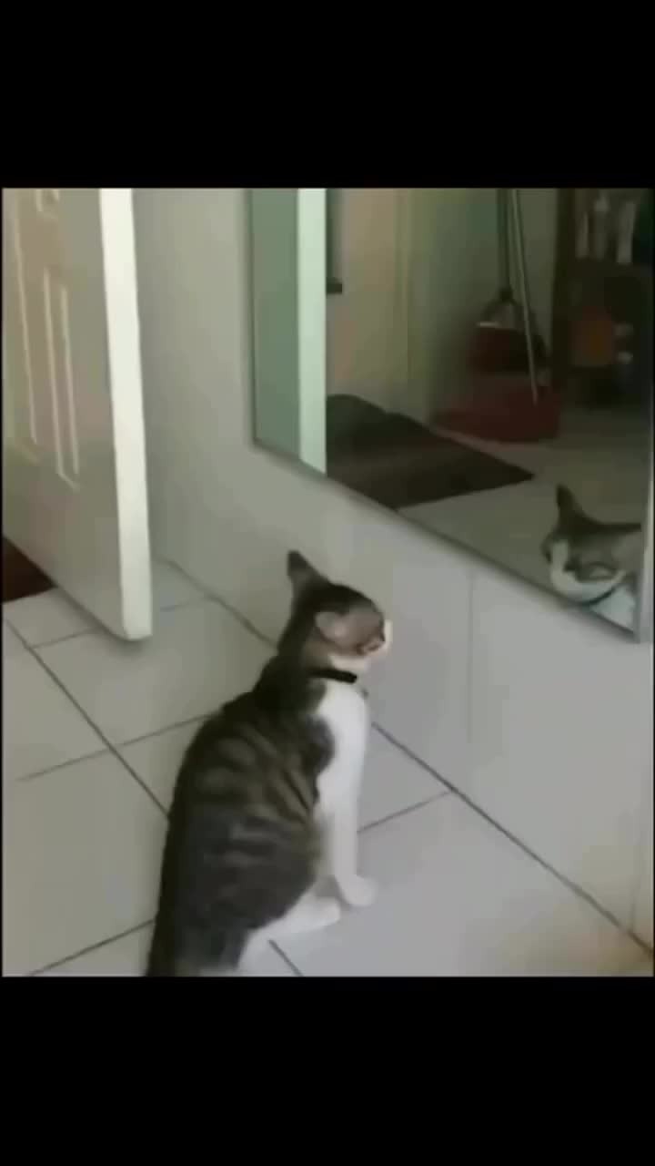 Что ж так то. Что ж так то