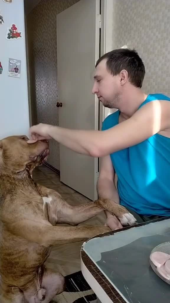 Как лайкать в лайке