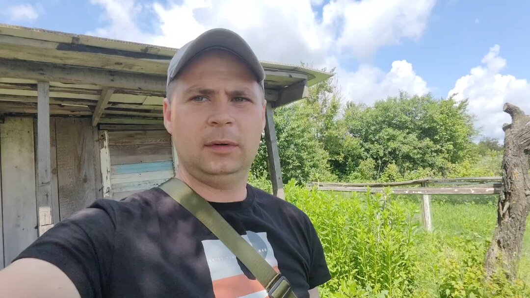 Сайт голодным не буду. Кот хочет есть. Миска для кота. Кот с селедкой. Мем голодный бахнув пельмени.