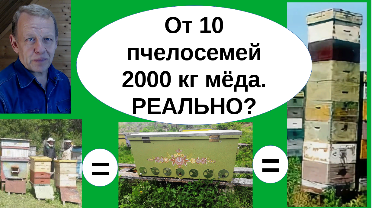 Пчеловодство бизнес проект