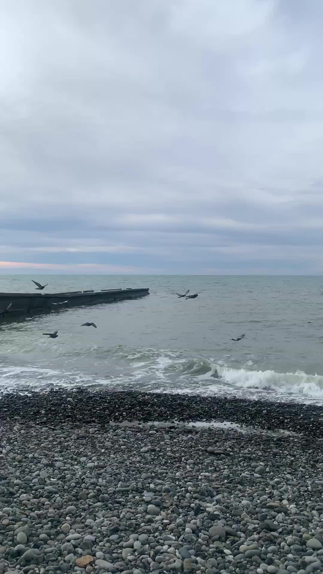 Песнь моря. Песня данные моря. Песня данные моря. Текст песни море юрий антонов. Стихи про море.