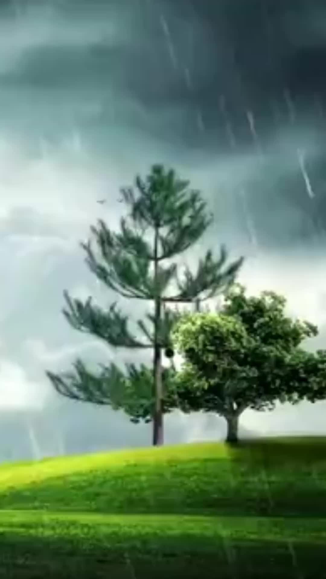 погода гроза. обои молния. природа с грозой. сон сильный гром.