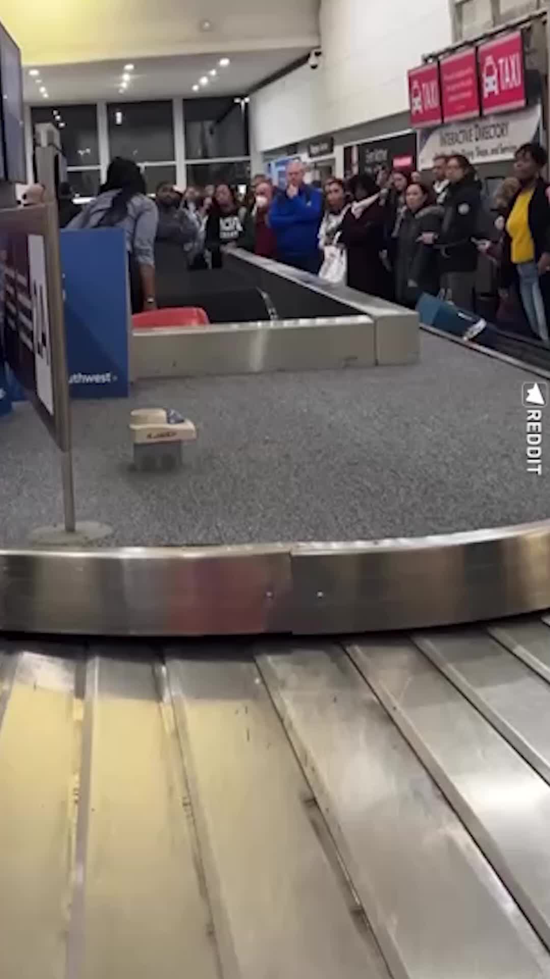 Jumbo набор для торта 3 шт. 13 чемоданчиков. игрушечные продукты курица на липучках. маленький старый чемодан. мастерская на колесах 13 лет 7010585.