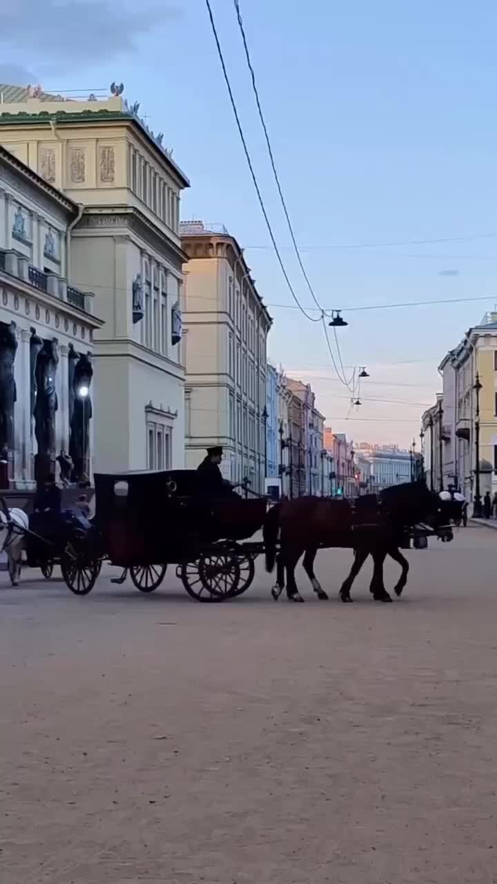 Деловой Петербург — свежие новости и видео | Шел 2024 год в Петербурге  Видео: соцсети | Дзен