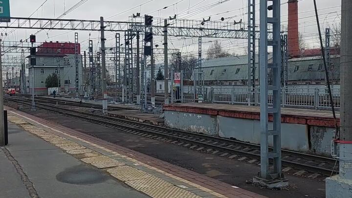 Ласточки завидово москва завтра