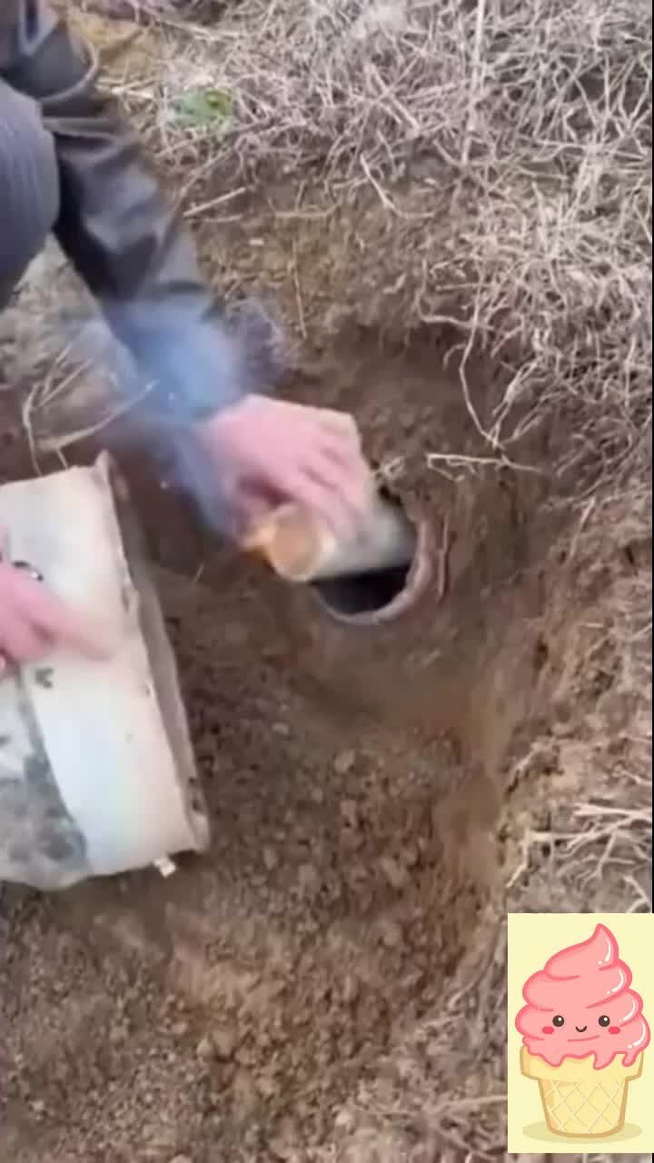 интересные видео в ютубе всякие смешные. люди и животные в зоопарке. селфи в зоопарке. скрещивание обезьян с людьми. интересный.