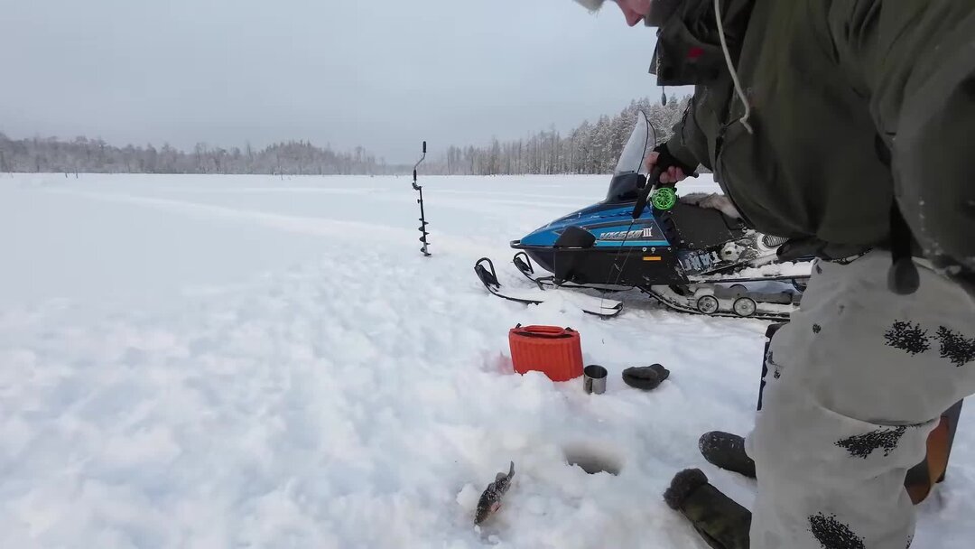 парус юг платная рыбалка. кузьмин спиннингист. дикая рыбалка телеканал. рыбалка в курской области. рыболовные путешествия со спиннингом летом.