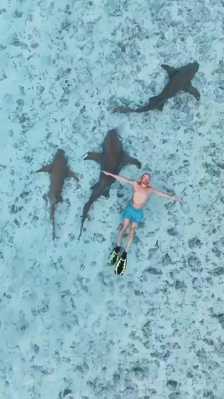 Это Дальний Восторг! Путешествия с Oktagon | Я ПЛАВАЮ СРЕДИ АКУЛ И ...