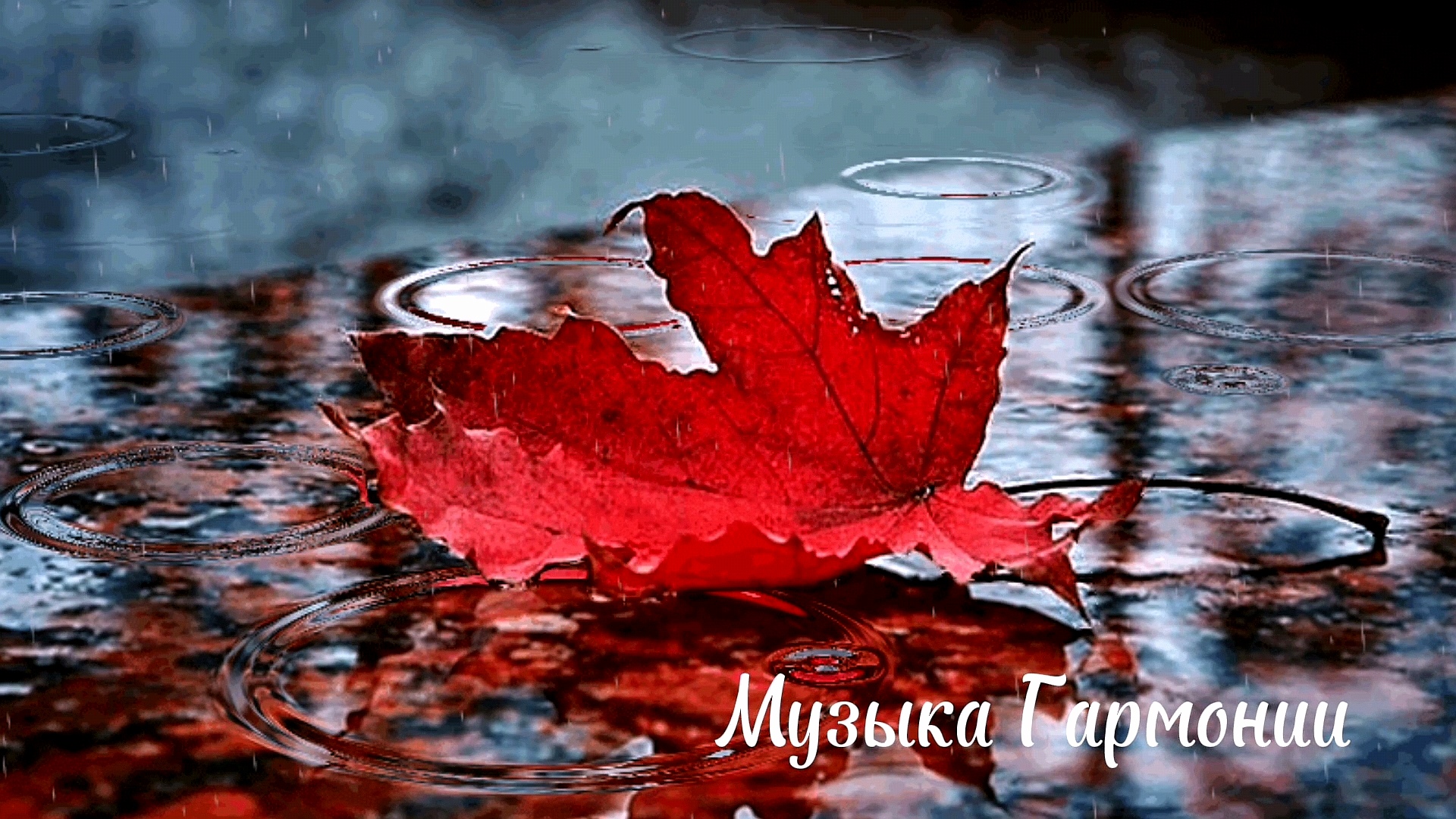 Музыканты дождь. Музыка день дождя. Три дня дождя фотоальбомов. Три дня дождя арты. Осенний блюз.