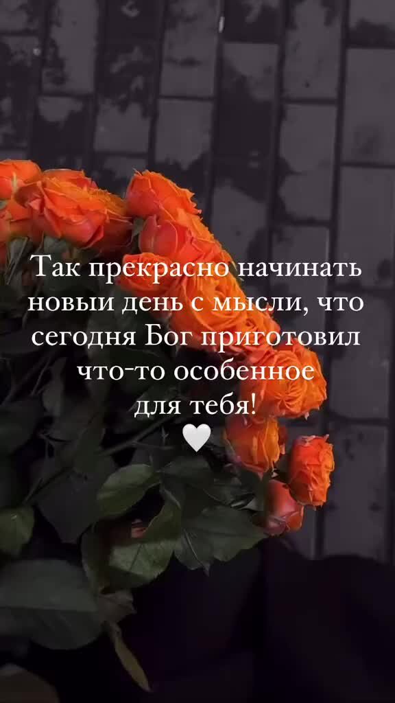 Интимные высказывания. Фразы про мужчин. Высказывания с намеком. Сек фразы. Афоризмы про пошлость.