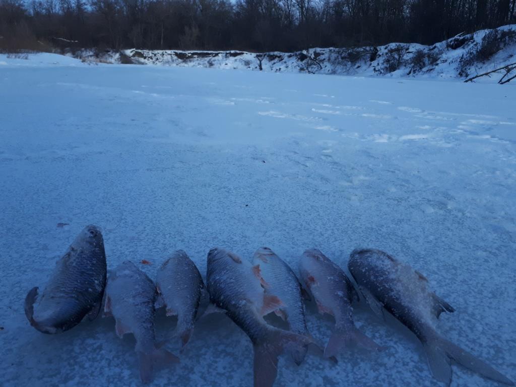 Найти про рыбалку. Девушки на рыбалке. Найти про рыбалку. Рыбалка фото. Рыбалка пейзаж.