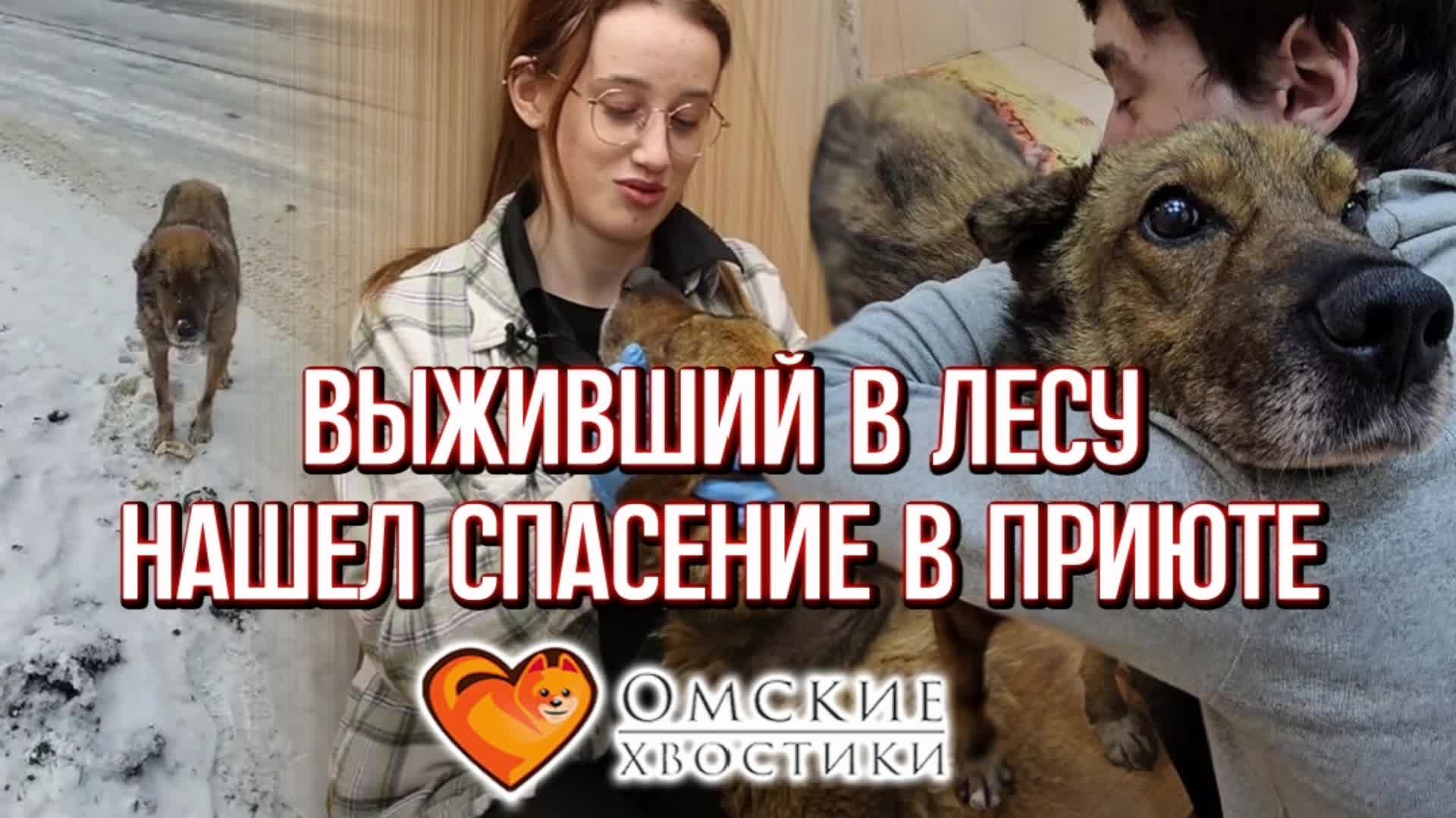 Фразеологизмы со словом ujkjdff. Все значения глагола идти. Стихотворение с пропущенными знаками препинания. Текст со словом идти. Составление предложений из слов.