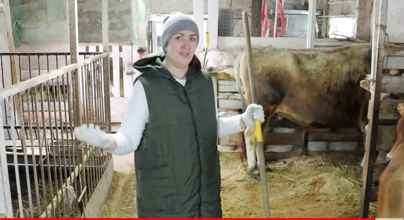 Пожилые люди. Пенсионеры. Пенсионеры в россии. Пенсионеры. Реальная жизнь на пенсии на дзене.