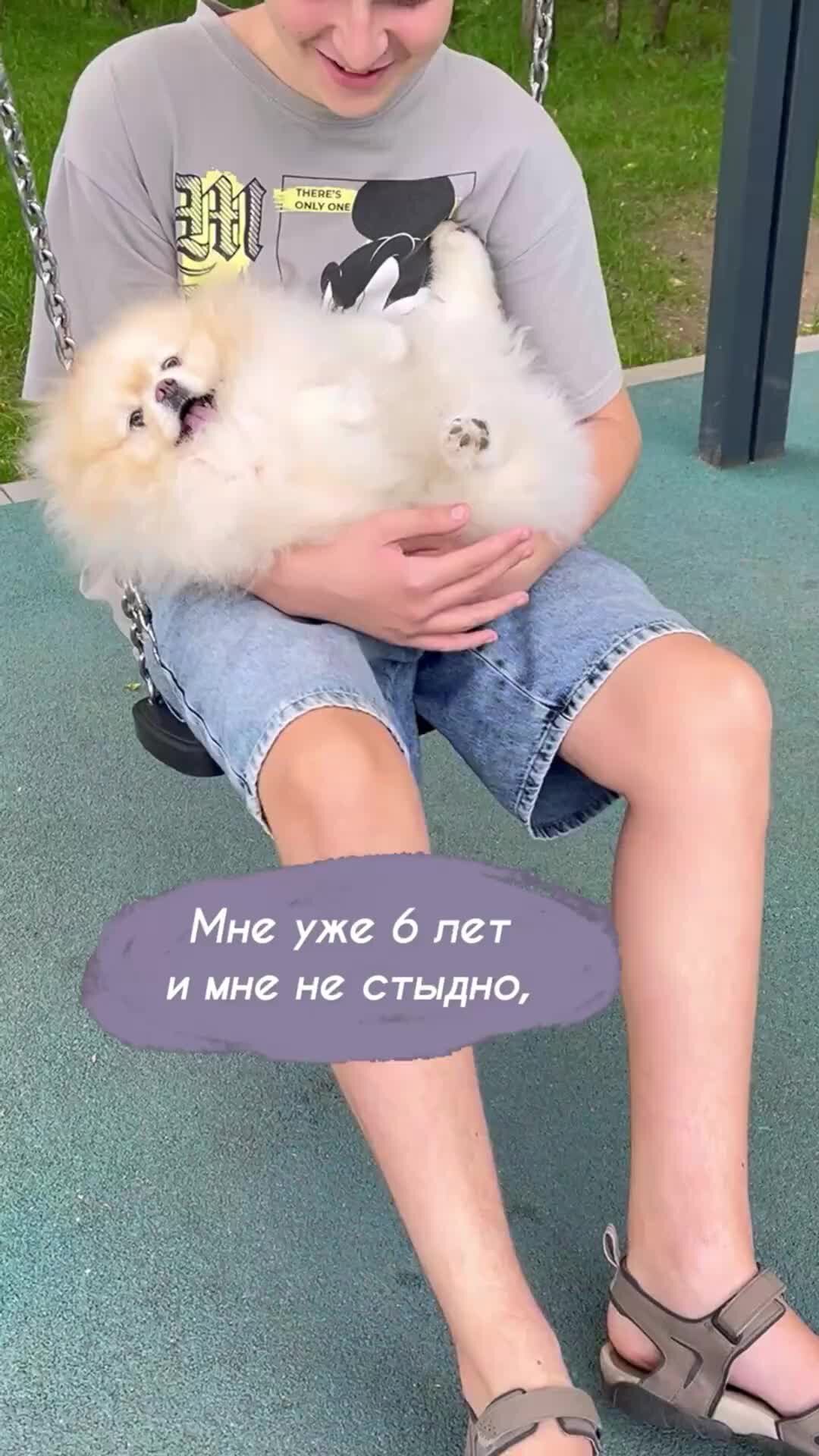 Марсель - пушистое облачко 🐶 | Маменькин сынок | Дзен