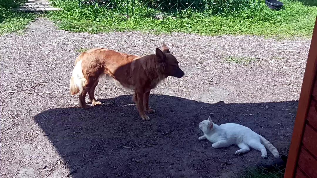 Ты заедешь. Заедешь за мной. Заедешь за мной. Фотограф мурад османн. Следуй за мной.