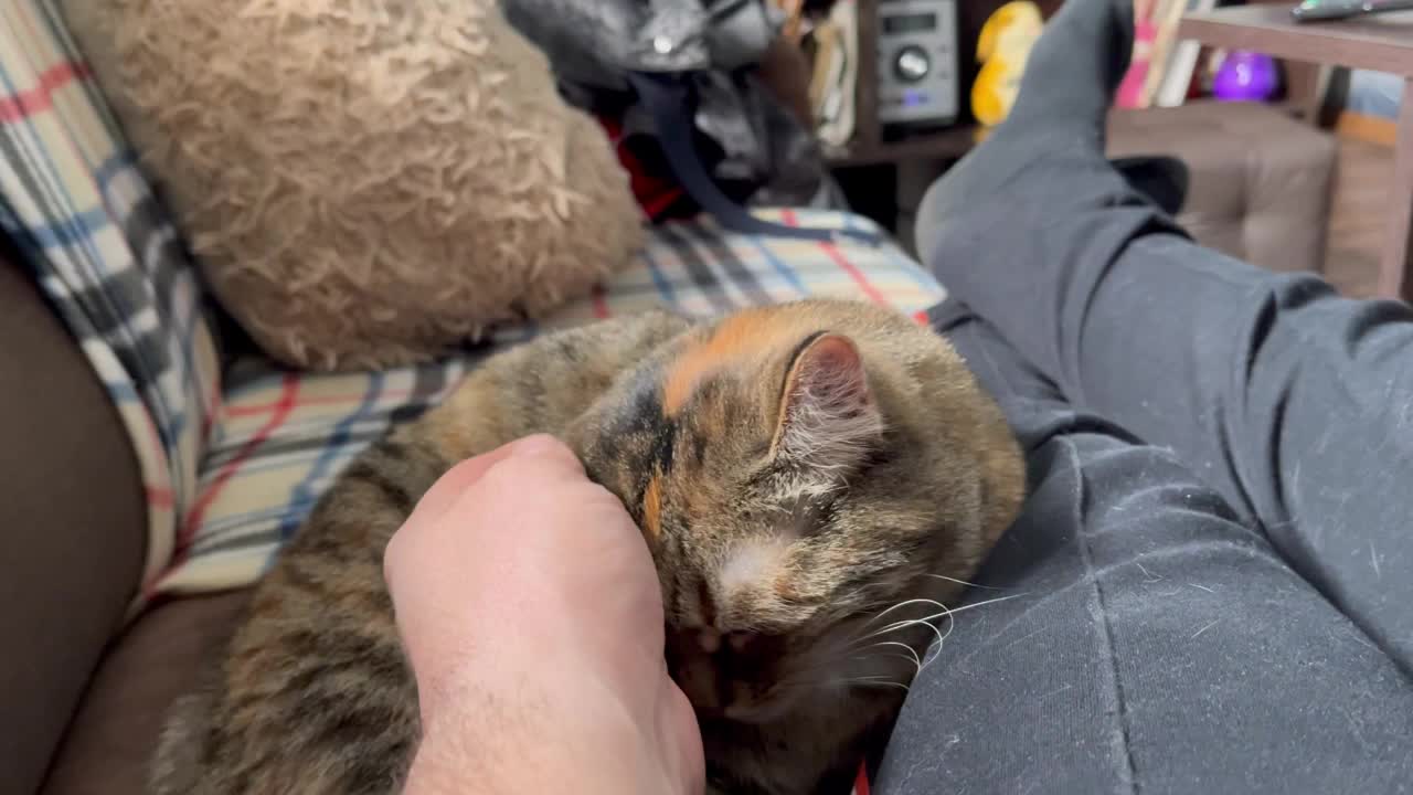 обнять себя. картинки про любовь. тебя не рядом. просто не видела как я люблю тебя. просто не видела как я люблю тебя.