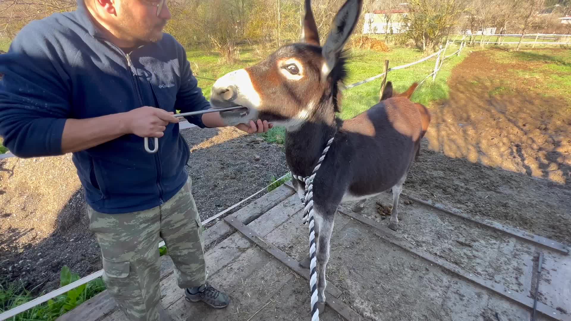 Напильником пилят