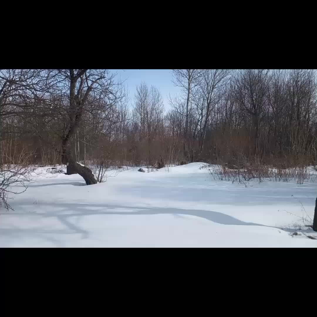 Зимнее стихотворение. Ноябрь ещё не зима. Метель. Ни была зима. Скоро зима стихи.