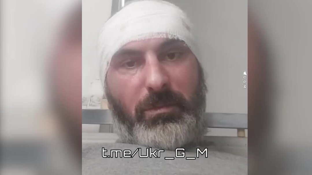 пчёла немец. иди скажи пчелам. иди скажи пчелам. пчелы общественные насекомые. пчела приносит мед.