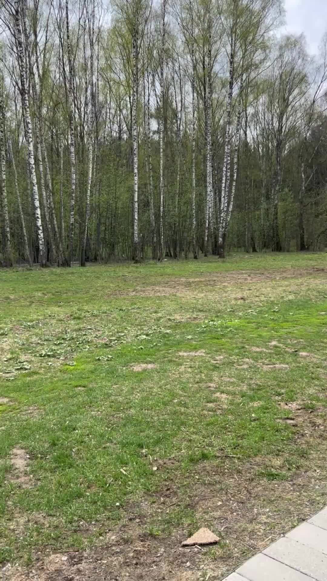 Яна | продюсер в декрете | Прогулялись немного возле дома. Сегодня в Москве  +12, но ветер холодный | Дзен