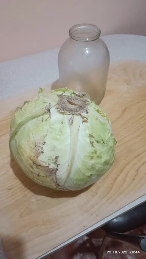 Сахар добавлять при квашении капусты. Соль для сквашивания капусты. Капуста квашеная на зиму хрустящая. Сахар добавлять при квашении капусты. Быстрая квашеная капуста.