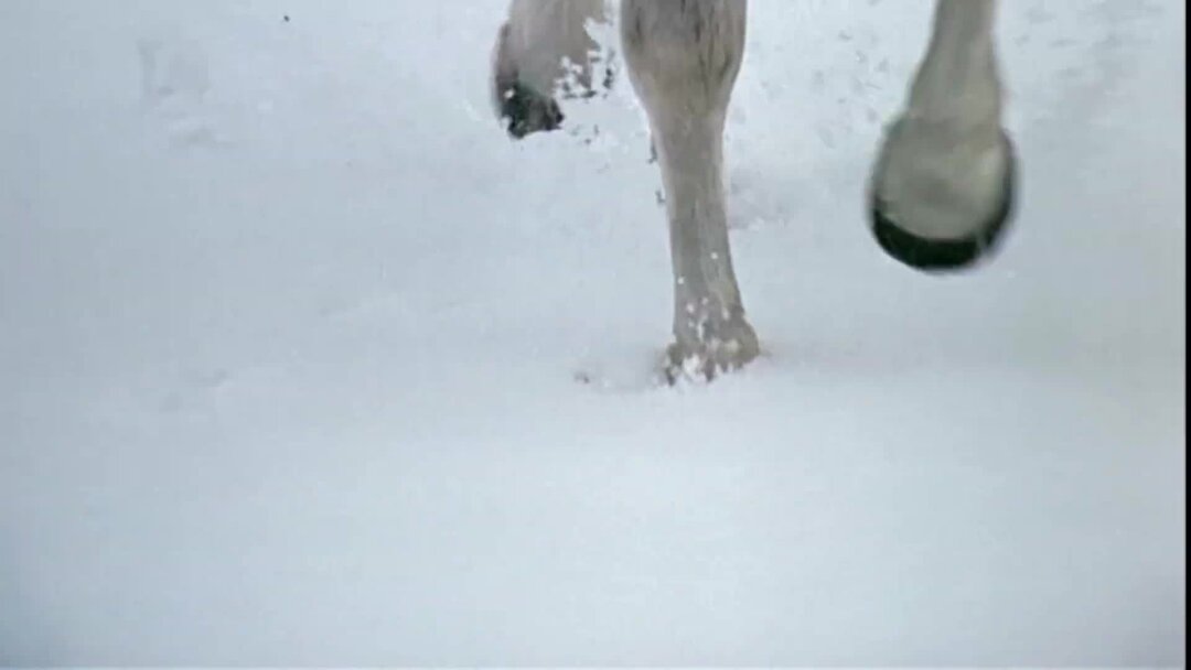 Перевод песни три орешка для золушки. Три орешка для золушки фильм 1973. Три орешка для золушки hd 1973. Три орешка для золушки фильм 1973. Перевод песни три орешка для золушки.