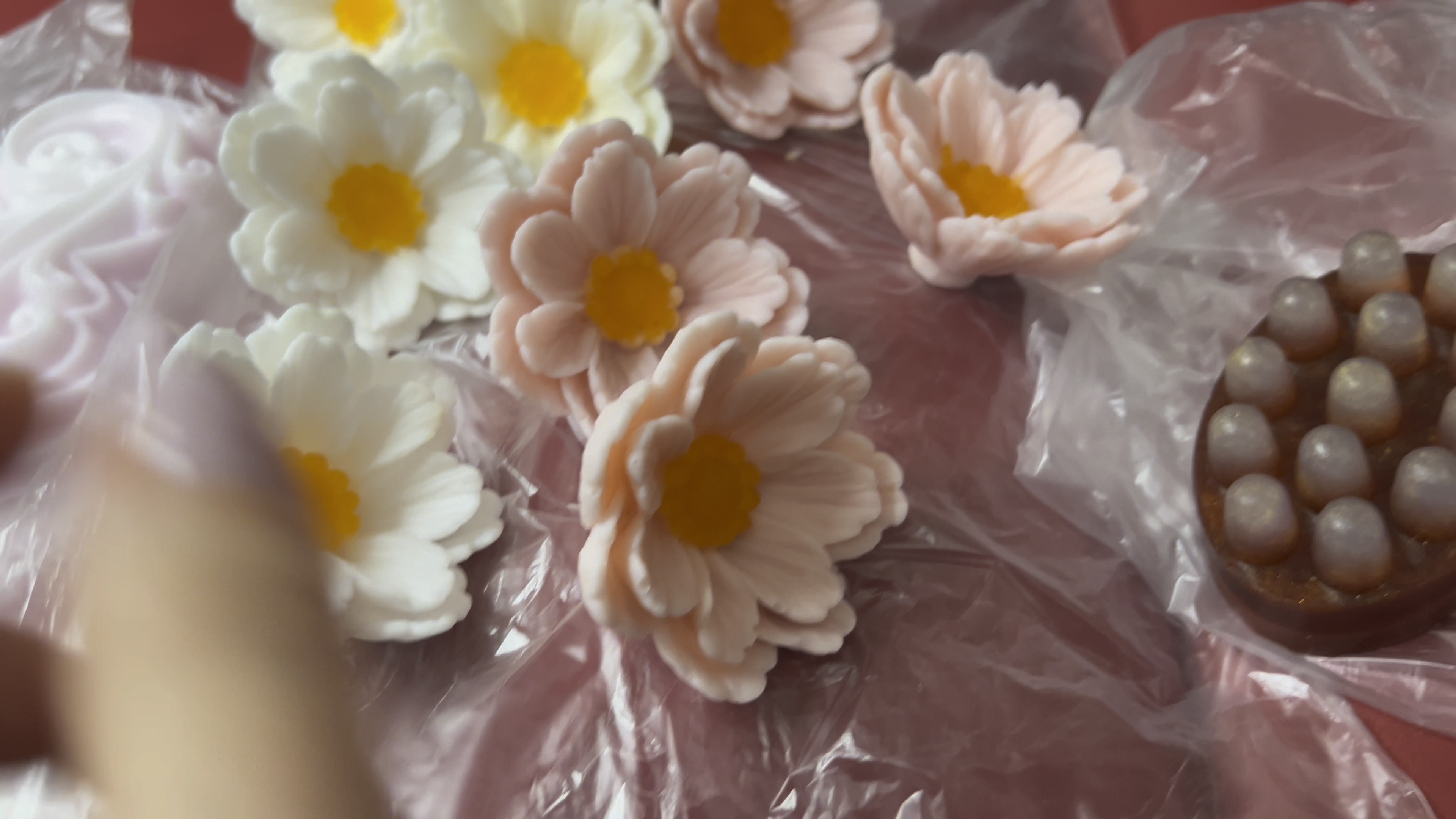 моют медвежат. мишка умывается. моют медвежат. мишка умывается. моют медвежат.