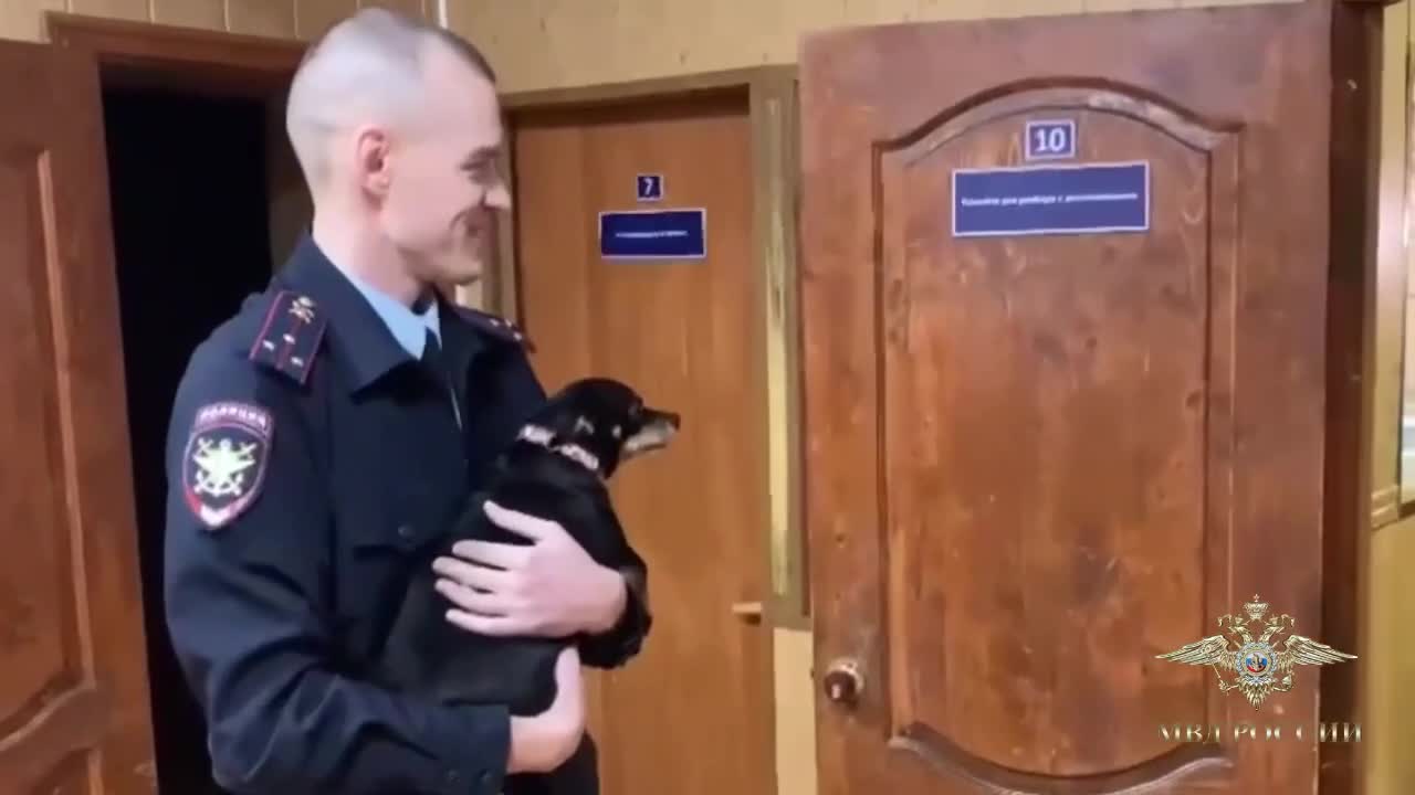 Заполнение дневника по практике юриста в организации. Дневник прохождения практики менеджера по управлению персоналом. Как заполнить дневник практики студента программиста. Практика в отделе кадров полиции. Календарный график прохождения практики экономиста пример.