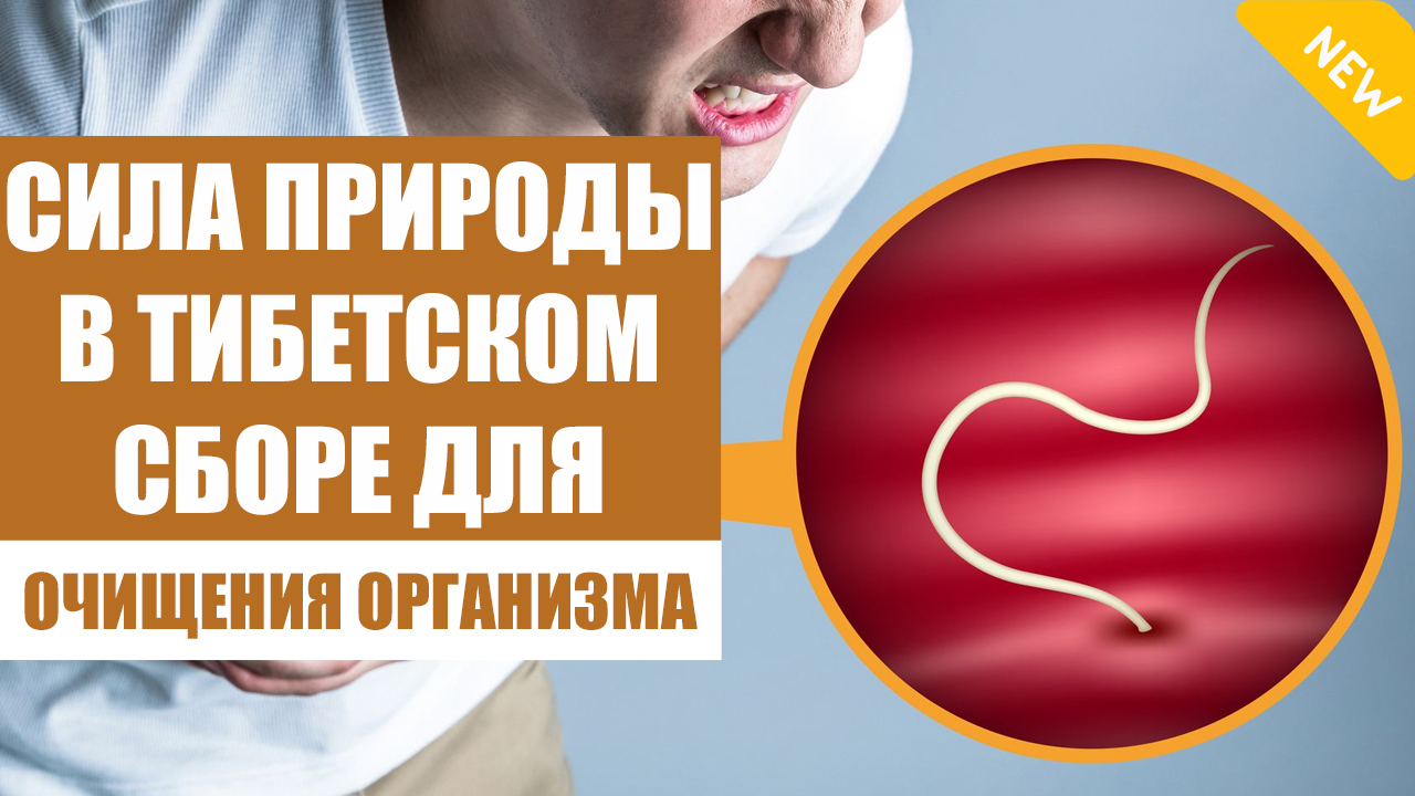 Глисты у взрослых лечение таблетки