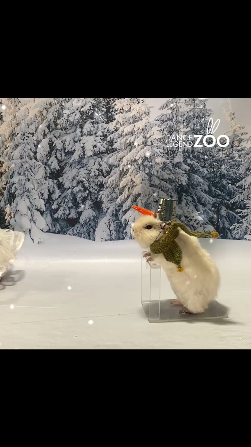 песни под которые хочется танцевать. стиль диско. мари краймбрери 2022. песни под которые хочется петь. анна герман город влюбленных ноты для фортепиано.