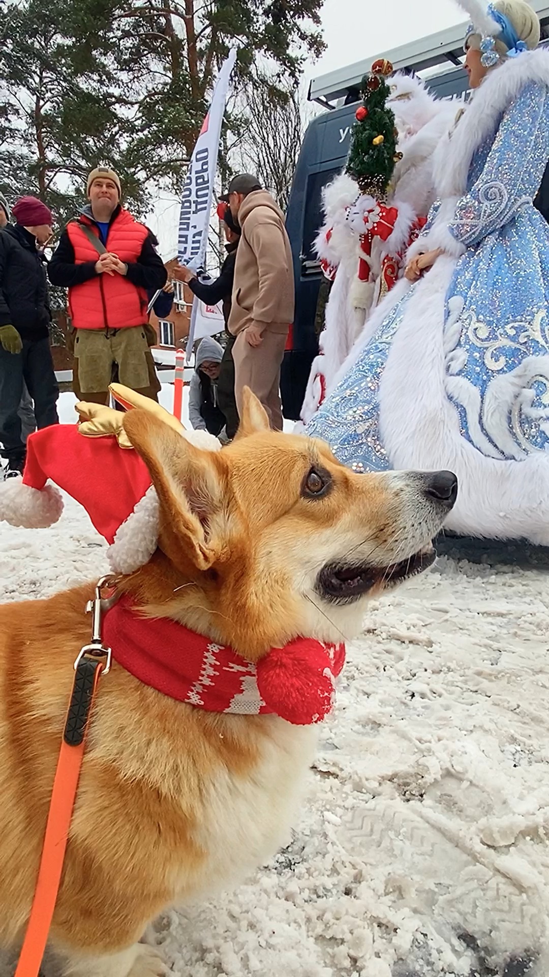 мастерская санта клауса. как дед мороз искал помощников. как дед мороз искал помощников. как дед мороз искал помощников. как дед мороз искал помощников.