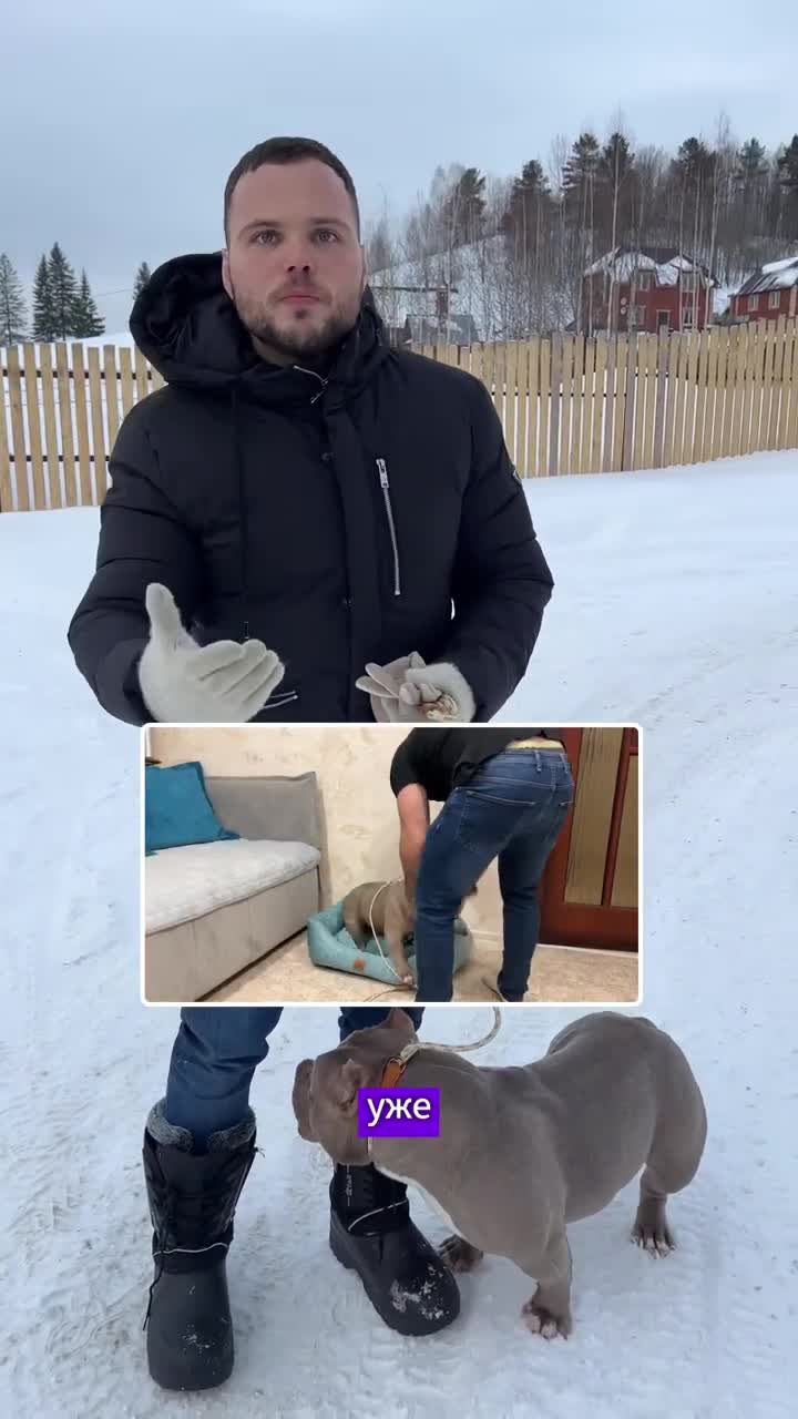 Собака метит в квартире. Щенок писается. Как отучить собаку писать. Собака в квартире нагадила. Как отучить щенка ссать в доме.